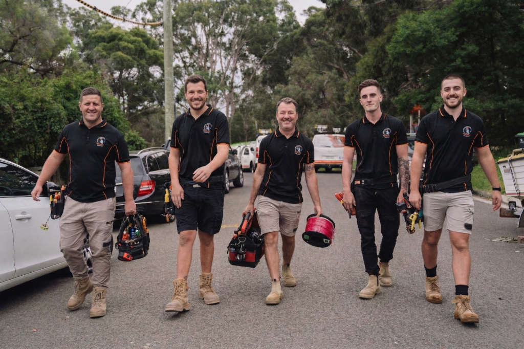 Professional electrical services in Waverley